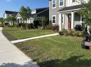 Shakeyta H.'s Lawn Service service result