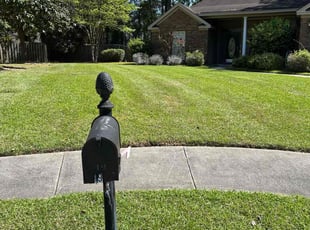 Michael P.'s Lawn Mowing service result