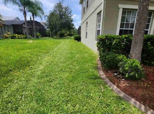Scott C.'s Lawn Mowing service result