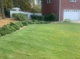 Brandon C.'s Lawn Maintenance service result