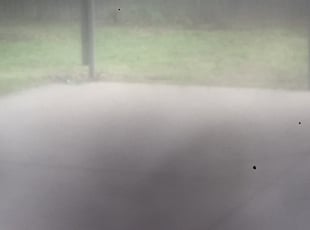 Leaf Removal by Leo Thompson for Lerin w. in Baton Rouge, LA