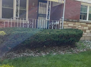 Bush Trimming by Brandon Betts for Johnny C. in CHICAGO, IL