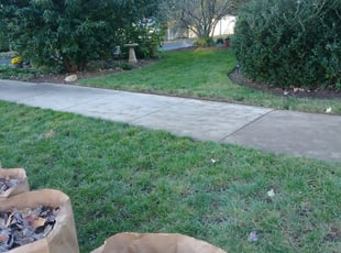 Leaf Removal by Timothy Chaplin for Sally L. in Chapel Hill, NC