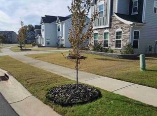 Eugene A.'s Grass Cutting service result