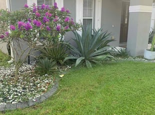 Gloria C.'s Grass Cutting service result