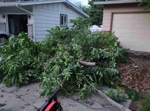 Cleanups by Luke Schulkins for Matt W. in Boise, ID