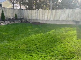 Valorie E.'s Lawn Mowing service result