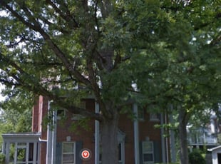 Leaf Removal by Patrick SMITH for Justin D. in Cincinnati, OH