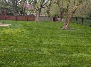 Jasen B.'s Lawn Maintenance service result