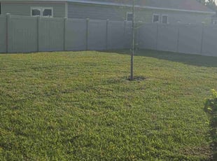 Carolyn K.'s Grass Cutting service result