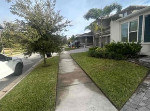 Katrina A.'s Lawn Care service result