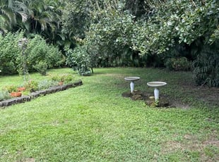 Joe G.'s Lawn Mowing service result
