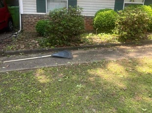 Bush Trimming by Cory Hyacinthe for Vicky Q. in Raleigh, NC