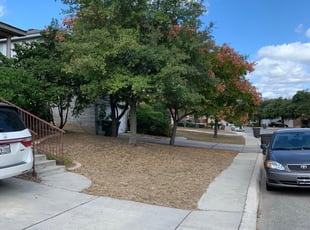 Cleanups by Aldo Mancha for Brandy A. in San Antonio, TX