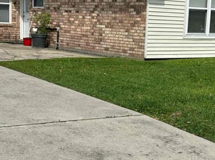 Carol S.'s Grass Cutting service result