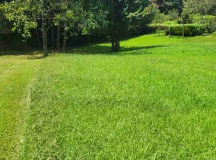 Eric C.'s Lawn Mowing service result