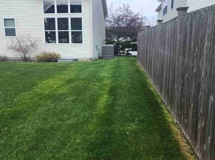 Carol H.'s Yard Cutting service result