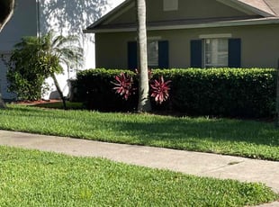 Bush Trimming by Terry Lampo for DJ M. in Clermont, FL