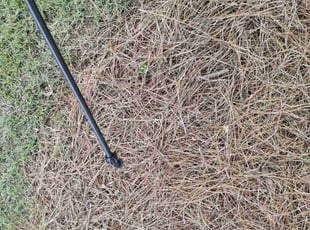 Weeding by Scaroline LLC for David K. in Alpharetta, GA