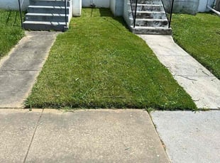 Jolene S.'s Lawn Service service result