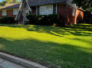 Emily L.'s Lawn Service service result