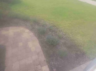 Weeding by Sean Beck for Robert R. in Green Cove Springs, FL