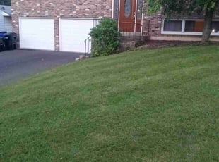 Morgan H.'s Lawn Service service result