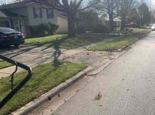 Leaf Removal by Zachary Sizemore for Lekeya H. in Columbus, OH