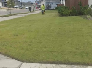 Weeding by Brian Orozco for Sufyan S. in Royse City, TX