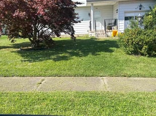 Sarah B.'s Lawn Care service result