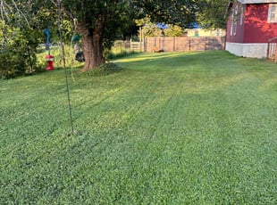 Michael M.'s Lawn Mowing service result