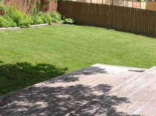 Seth J.'s Lawn Care service result