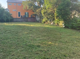 Cleanups by Hollis Carter for Heather W. in New Orleans, LA