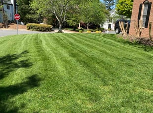 Debra S.'s Lawn Mowing service result