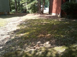 Leaf Removal by Barbara Kundrat for Bernard R. in Chesterfield, VA