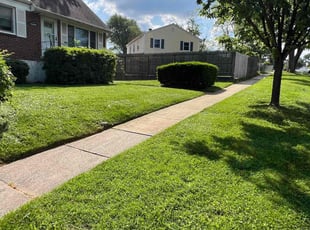 Carisa G.'s Grass Cutting service result