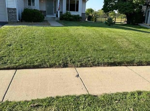 Elizabeth E.'s Lawn Maintenance service result