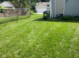Courtney G.'s Grass Cutting service result
