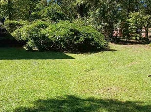 Blake M.'s Lawn Maintenance service result
