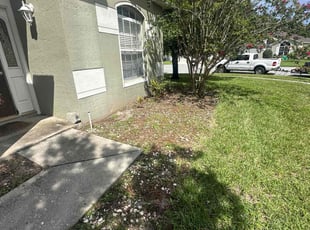 Weeding by Alexis Calderon for Stephanie M. in Orlando, FL
