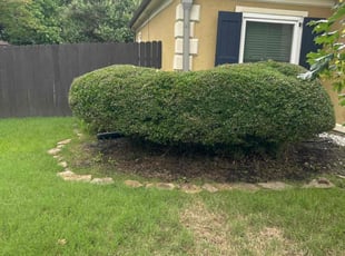 Bush Trimming by Trapper Ellis for Lisa R. in Memphis, TN