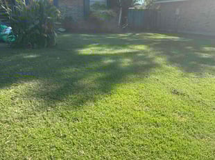 Steven W.'s Lawn Care service result