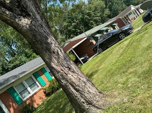 Trevor F.'s Lawn Mowing service result