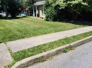 TRACEY B.'s Yard Cutting service result