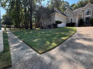 Timothy R.'s Lawn Mowing service result