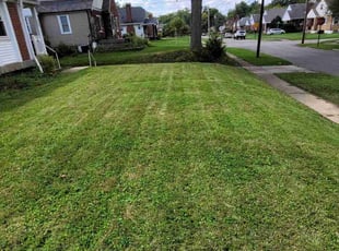 Jacqueline R.'s Yard Cutting service result