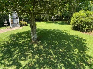 Autumn T.'s Yard Cutting service result