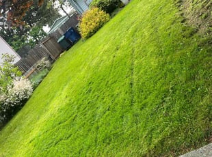 Tracey T.'s Lawn Care service result