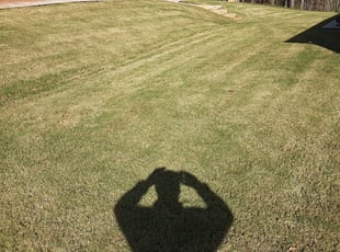 Cleanups by Hugo lopez for Sy H. in Villa Rica, GA