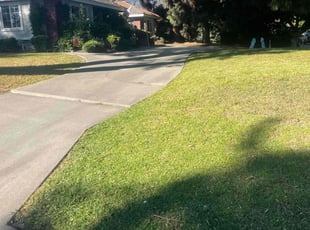 Jenny S.'s Grass Cutting service result